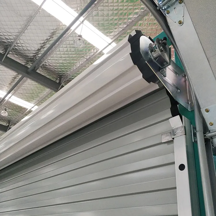 Australia style steel roll up door opener garage door with motor