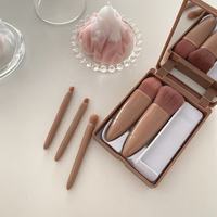 Nouveauté : Ensemble de pinceaux de maquillage de voyage professionnels avec miroir, 5 pièces, mini miroir portable avec fonction complète, kit de pinceaux de maquillage pour le visage