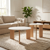 Ensemble de tables basses rondes 2 en 1, plateau en bois composite MDF, base sur piétement, table centrale minimaliste pour la maison, salon