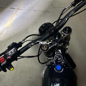 2025 nouveau modèle lumière abeille lumière abeille X électrique Dirt Bike hors route vtt haute puissance montagne Ebike 2025 - Product Image 4