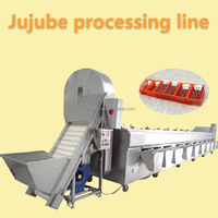 Complete Automatische Industriële Geconcentreerde Jujube Dadels Productieverwerkingsmachine