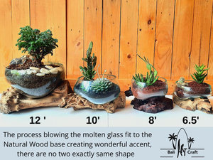Vente en gros kit de terrarium fermé moderne avec conteneurs pour plantes Vase de table Jardin Culture Plante d'intérieur Base en béton Verre <span class=keywords><strong>Terra</strong></span> - Product Image 4