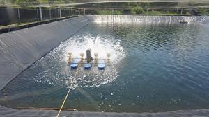 Feuille de géomembrane HDPE renforcée pour fermes de crevettes et bassins - Fabricant - Meilleur <span class=keywords><strong>prix</strong></span> - Product Image 3