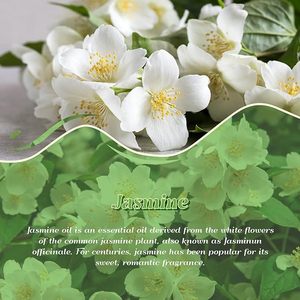 Aceite Absoluto de Jazmín Natural, Aroma Floral Premium <span class=keywords><strong>para</strong></span> <span class=keywords><strong>la</strong></span> Elaboración de Perfumes <span class=keywords><strong>y</strong></span> Cosméticos - Product Image 2