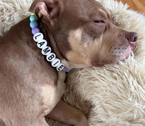 Acryl-Buchstaben-Halsband mit elastischem Kordelzug und bunten Perlen – Namenskette für Hunde – Farbiges Perlen-Halsband für Hunde und Katzen mit ID-Anhänger - Product Image 5
