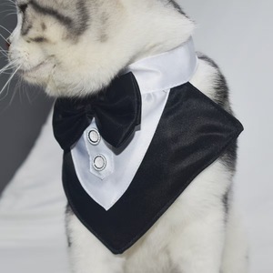 Traje de Boda para Mascotas, Babero, Collar para Perro, Bandana Triangular con Lazo, Elegante y Decorativo, Estilo Caballero para Todas las Estaciones - Product Image 3