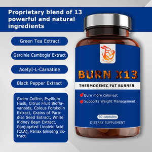 OEM ODM Burn X13 Capsules with Garcinia Cambogia Extract AcetyI-L-Carnatine Helps to Ignite <b>Metabolism</b> lgnite Your <b>Metabolism</b> - Product Image 3