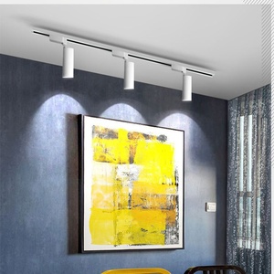 Nouvelle lampe sur rail Led magasin de vêtements salle d'exposition lumineux nordique 20W30w Super lumineux Commercial COB Rail projecteur - Product Image 1