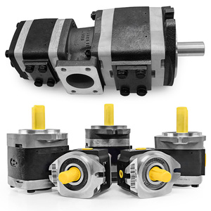 内接歯車ポンプ IPC/IPVP/IPV4-/13/16/25/32-101/171 IPV5/-64/171 油圧ギアオイルポンプ - Product Image 5