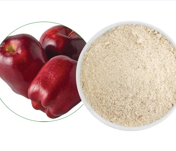 공장 가격 공급 애플 껍질 추출물 플로로틴 분말 99%