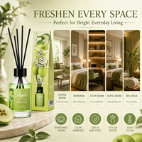 Ensemble diffuseur à bâtonnets 100 ml avec emballage personnalisé, huile diffuseur florale fruitée pour les boutiques de cadeaux et les chaînes de décoration intérieure