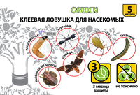 Ecologische insectenvangplaat voor fruitbomen, humane insectenvallen, vliegenvanger, kleefval voor insecten.