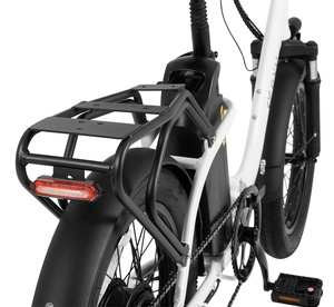 OEM ODM Factory Wholesale Price 20 Inch Fat Tire <b>Electric</b> Bike for Adults Step Through Urban E Bicycle - Product Image 5
