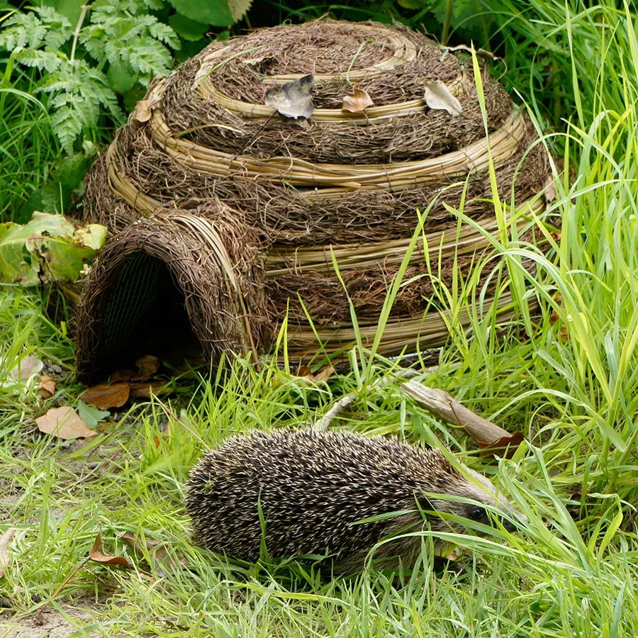 Superieure Kwaliteit Sterk Draadframe Goed Gecamoufleerd Rotan Met Waterdicht Membraan Egel Huis