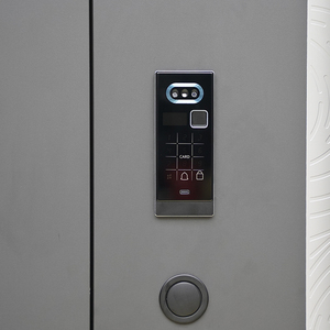 Cửa an ninh thép hiện đại chất lượng cao với bề mặt hoàn thiện Chống trộm & chống đạn trực tiếp cho cổng căn hộ - Product Image 3