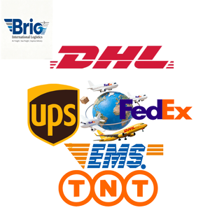 บริการคลังสินค้าและรับสินค้าฟรี ตัวแทนขนส่งสินค้าจีน 10 อันดับแรก บริการขนส่งจากจีนไปยัง สหรัฐอเมริกา/สหราชอาณาจักร/ออสเตรเลีย/แคนาดา - Product Image 2