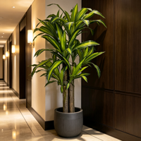 Plante artificielle Dracaena de 150 cm, fabrication de plantes artificielles, vente en gros de plantes artificielles en bonsaï pour la décoration intérieure