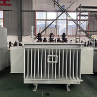 Transformateur de régulation de tension immergé dans l'huile à trois phases, tension de sortie réglable, 50/60Hz, certifié ISO CE pour laboratoire