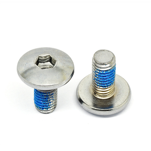 High Quality Factory Directly All Size M2 M3 <strong>M5</strong> M6 M8 ISO 4762/ DIN912 Titanium Gr1 Gr2 Hexagon Socket Head Cup Screws Hex <strong>Bolts</strong> - Product Image 6