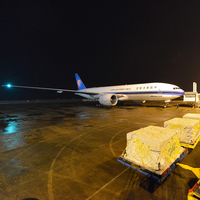 Fret express Chine : Courrier aérien D2D vers le Mexique, les Caraïbes et l'Amérique du Sud/Centrale |   Faible coût avec DHL, FedEx, UPS
