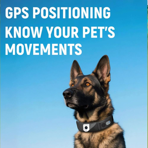 Traceur GPS sans fil pour chien avec positionnement en temps réel, navigation multi-satellites, localisateur d'animaux de compagnie - Product Image 4
