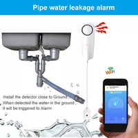 Détecteur de fuite d'eau intelligent avec application d'alarme WiFi pour la maison