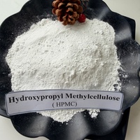 Selulosa Eter HPMC HPMC Metil Selulosa Tylose 200000 Viskositas Bubuk Putih Aditif Kemurnian 99% 25kg/karung Tahan Air