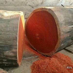 Sierra vertical portátil para cortar madera, paquete para jardín, 220V, hoja de 2200mm, 7.5kW - Product Image 6