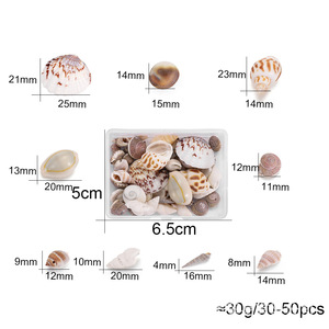 เปลือกหอยธรรมชาติผสม 16-19 มม. เปลือกหอยสีขาวสำหรับตกแต่ง DIY เครื่องประดับอุปกรณ์งานฝีมือ 50-60 ชิ้น 28 กรัม/แพ็ค - Product Image 4