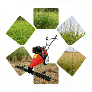 <span class=keywords><strong>Tagliaerba</strong></span> a spinta economico 212cc a benzina, larghezza 80-120cm, altezza di taglio 1-8cm per risaie e canne - Product Image 1