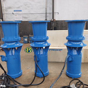 Fabricante de Bombas Sumergibles de Flujo Axial de 800 M³/h - Product Image 2