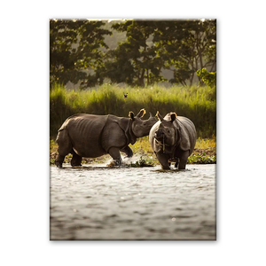 Nepal One-Horned Rhino Canvas Print - <strong>Chitwan</strong> National Park Wildlife Scenic Wall Art for Home Decor - Product Image 2