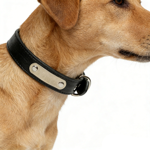 <span class=keywords><strong>Collar</strong></span> de Perro Ajustable de Cuero PU Barato con Logotipo Personalizado al por Mayor - Product Image 5