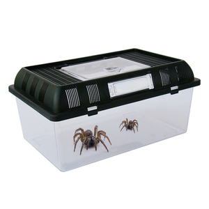 Plastic <strong>Reptile</strong> <strong>Enclosure</strong> Breeding Box Plastic <strong>Stackable</strong> <strong>Reptile</strong> Terrarium for Snake Frog 16.4x10.2x5.7 Inch - Product Image 4