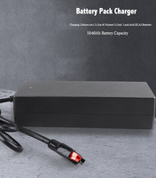 Adaptateur YHY 42V 200W 5A avec protection OTP OVP, chargeur électrique AC pour batterie lithium 36V avec connecteur