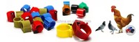 Ventes directes du fabricant Anneau de suivi de volaille animal pigeon Rfid 860-960MHz 125KHz/134.2KHz personnalisable