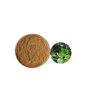 Versatile chinaroot greenbrier rhizome for use in Various Products ...