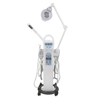 Appareil de soin de la peau 10 en 1, lampe grossissante à vapeur chaude ABS, exfoliant, lifting du visage, nettoyage à l'oxygène