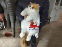 Mainan Simulasi Kucing Calico Realistis