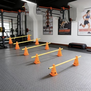 ชุดอุปกรณ์ฝึกสุนัขแบบ Agility พร้อมเสากระโดด รั้วกั้น ห่วงผ้าไนลอน อุปกรณ์ฝึกความคล่องตัวสำหรับสุนัขขนาดเล็ก - Product Image 6