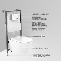 Système de chasse d'eau pour toilettes murales avec réservoir encastré, réservoir de toilettes encastré, toilettes et accessoires