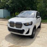Véhicule électrique compact de luxe en gros, SUV à longue autonomie, 4 roues motrices, véhicule à énergie nouvelle pour adultes, idéal pour les trajets urbains