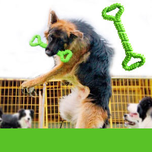 Fabricante al por mayor entrenamiento verde amarillo azul naranja perro Tpr hueso masticar Juguetes - Product Image 3