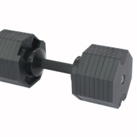 Haltères réglables de gymnastique de nouveau style de 32KG équipement de forme physique haltères octogonaux ensemble d'haltères d'haltères pour l'usage à la maison (couleur d'OEM)