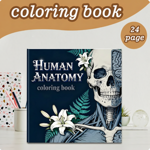 <span class=keywords><strong>Libro</strong></span> para Colorear de Anatomía Humana de 24 Páginas para Estudiantes de Medicina y Adultos - Actividad Educativa sobre Sistemas Corporales Detallados - Product Image 1