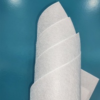 PET COPET Couche de support légère en non-tissé bicomposant, média de filtration liquide haute efficacité TH136B