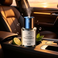 Diffuseur d'air frais USB portable de luxe en métal de haute qualité pour voiture, avec capteur de vibration et alimentation électrique, parfum lavande citron, pour la maison
