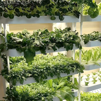Les fabricants fournissent des systèmes hydroponiques intelligents d'intérieur, des jardinières pour légumes, des systèmes de culture hydroponique complets.