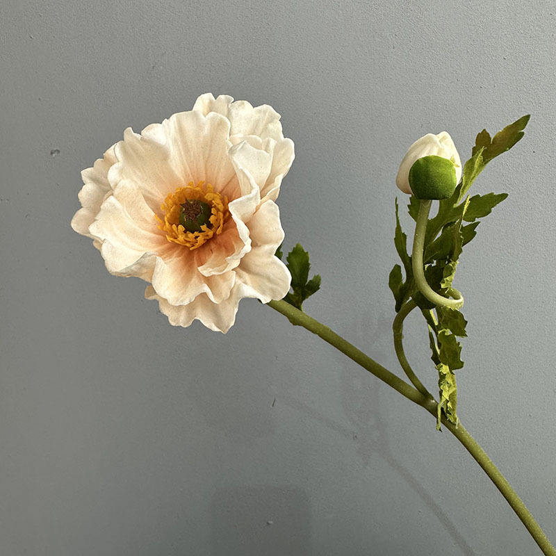 แชมเปญอ่อน