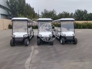 Vehículo de Patrulla Eléctrico de 6 Pasajeros, Modelo en Oferta, Funciona con Batería, Nuevas Condiciones, Vehículo Blindado, Color Opcional, con Puerta - Product Image 2